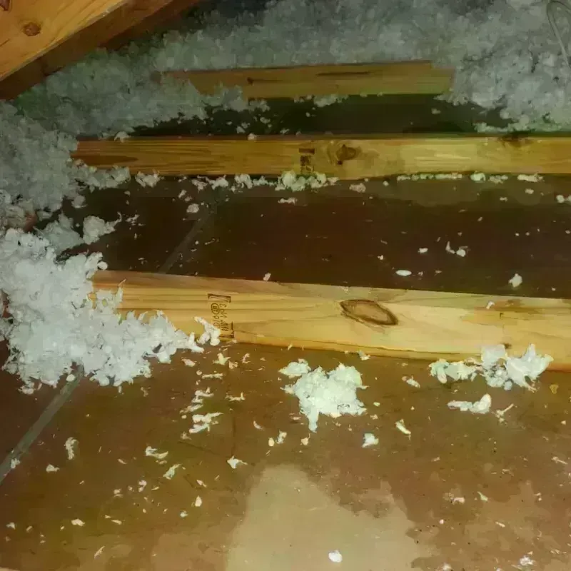 Attic Water Damage in Tahoma, CA