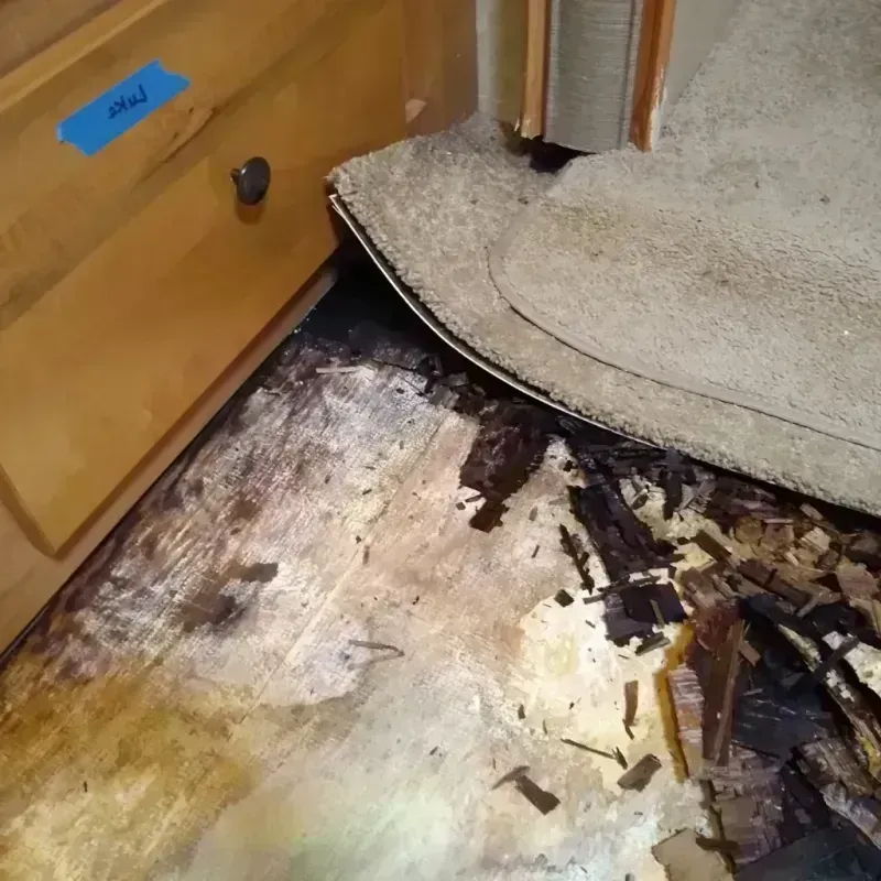 Wood Floor Water Damage in Tahoma, CA